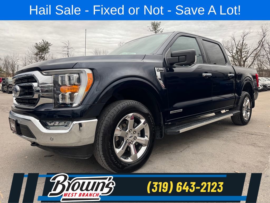Used 2023 Ford F150 XLT w/ Equipment Group 302A High AWD/4WD image 1