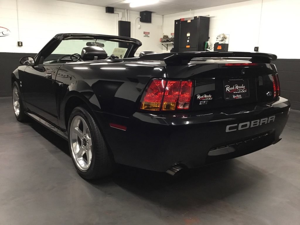 Used 2001 Ford Mustang Cobra RWD image 14