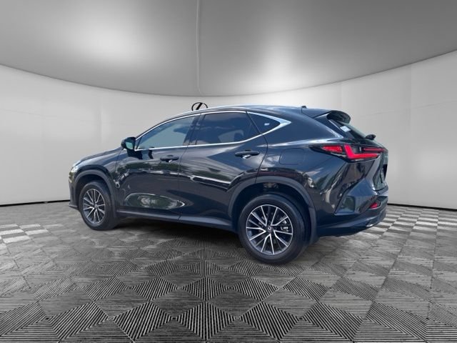 Used 2025 Lexus NX 350 AWD w/ Cold Area Package image 5
