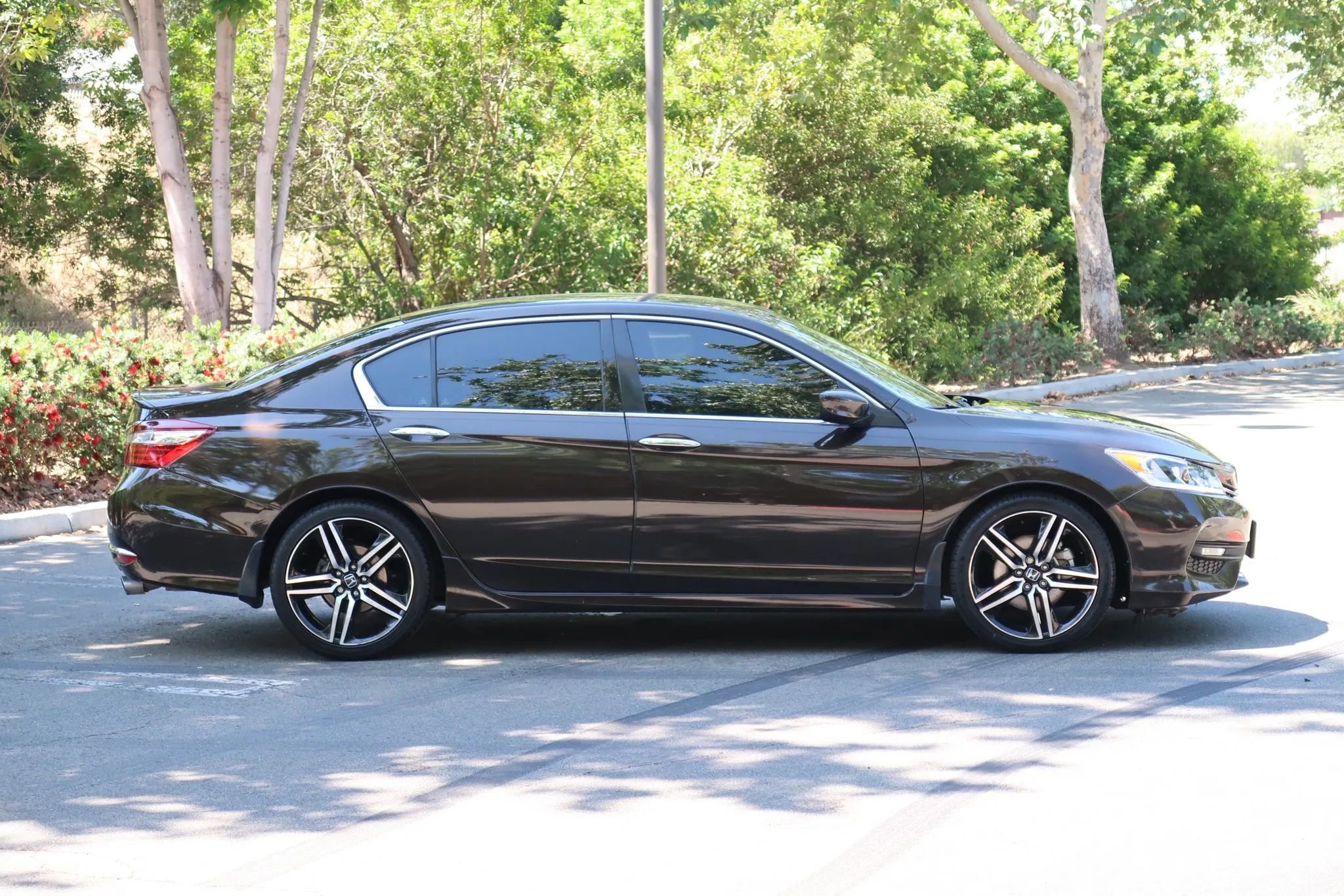 Used 2016 Honda Accord Sport image 8