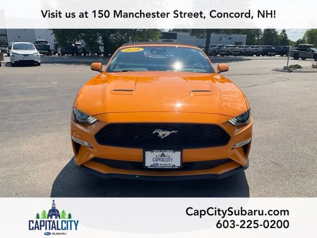 Used 2019 Ford Mustang Premium w/ Equipment Group 201A RWD image 3