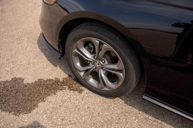 Used 2024 Honda Accord EX image 12