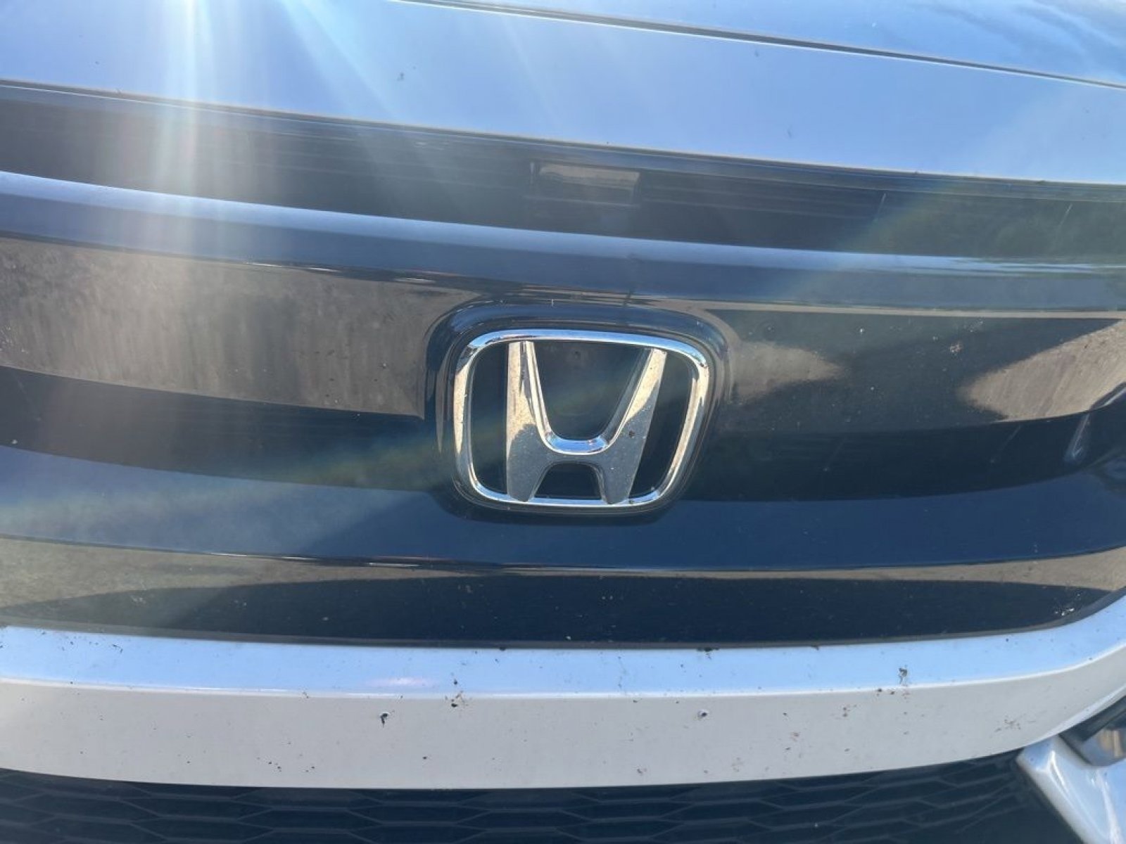Certified 2020 Honda Civic LX image 5
