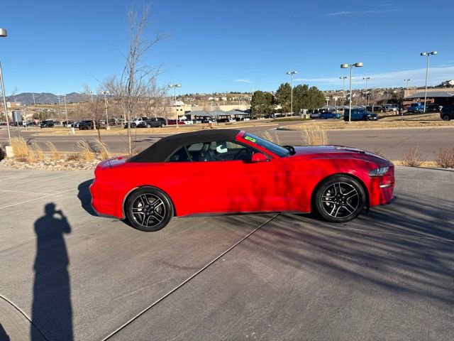 Used 2023 Ford Mustang Premium image 9