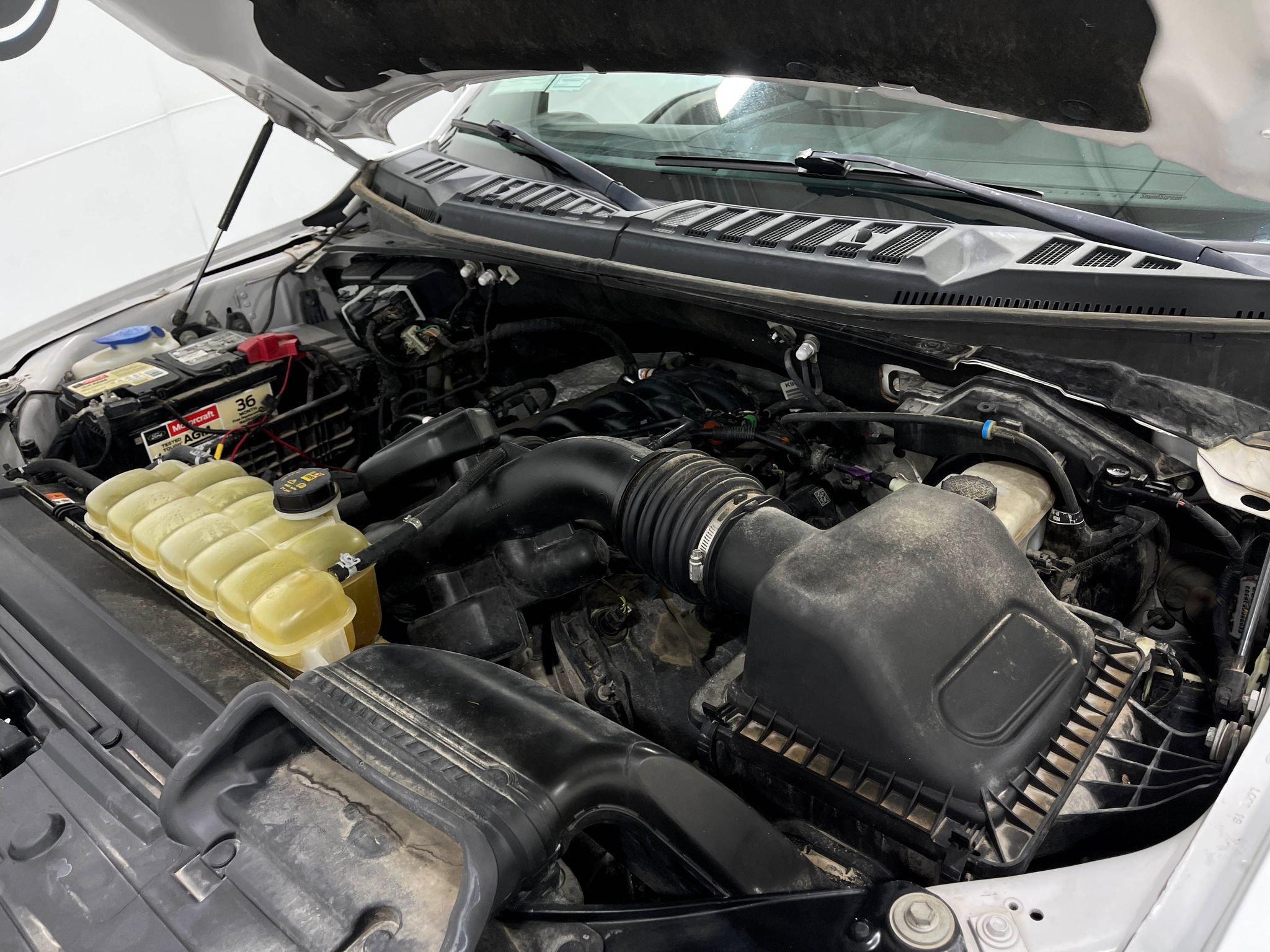 Used 2019 Ford F150 XLT w/ Equipment Group 302A Luxury AWD/4WD image 27