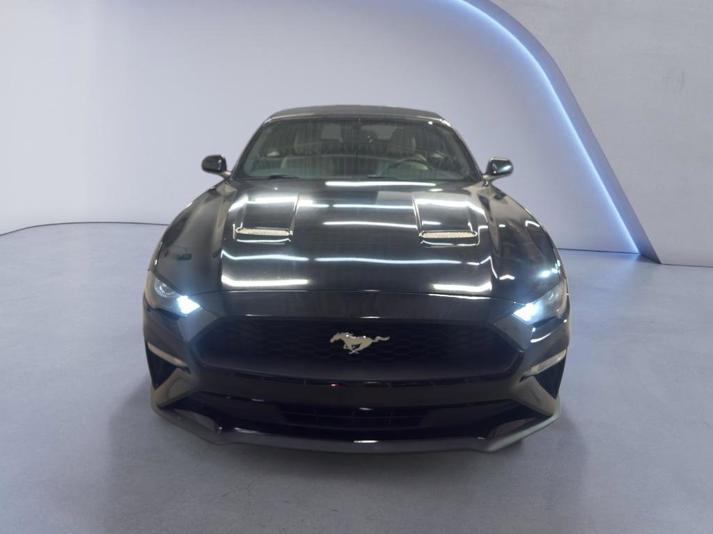 Used 2019 Ford Mustang Premium image 2