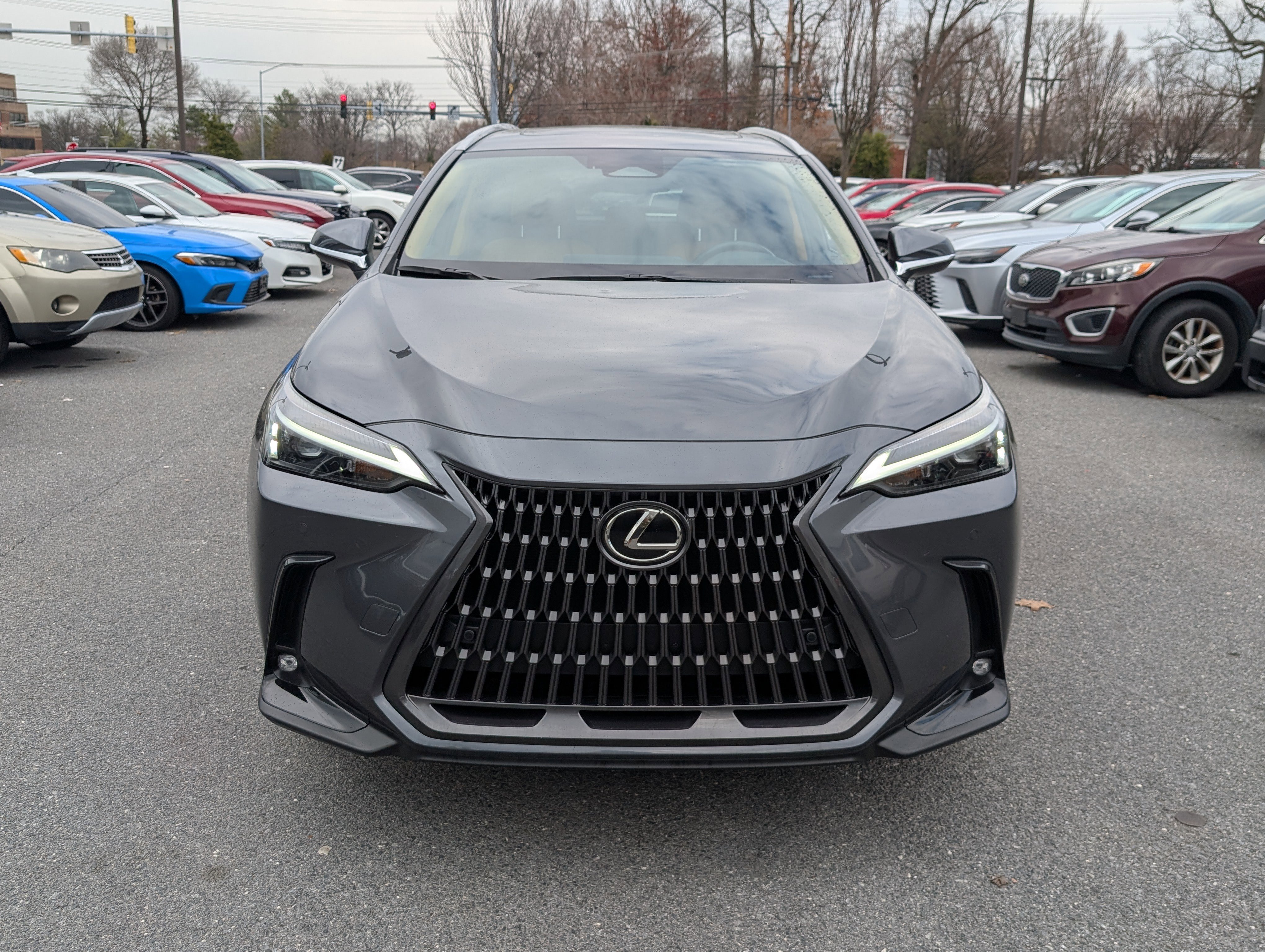 Certified 2024 Lexus NX 350h 350h Premium image 8