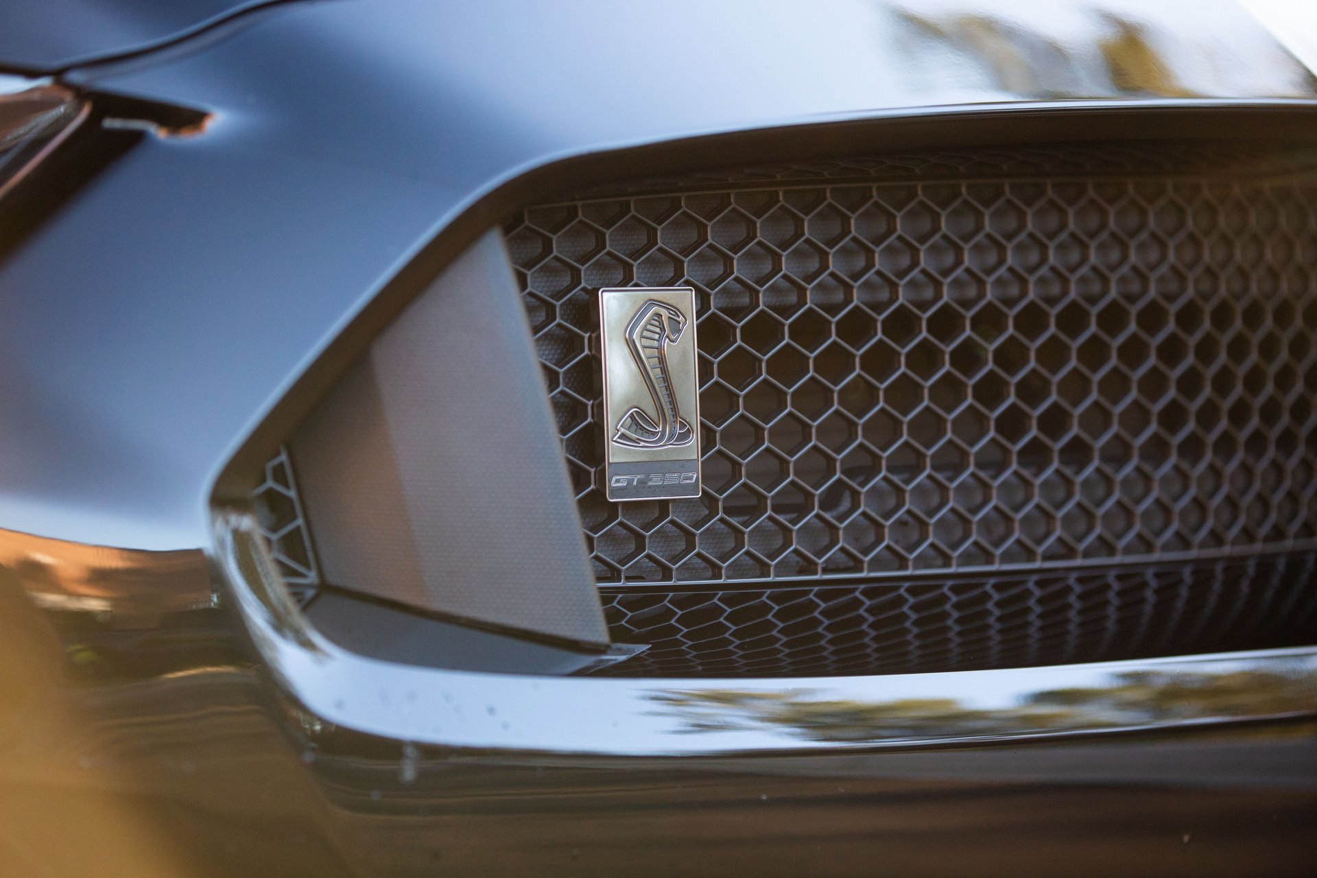 Used 2019 Ford Mustang Shelby GT350 w/ Technology Package image 11