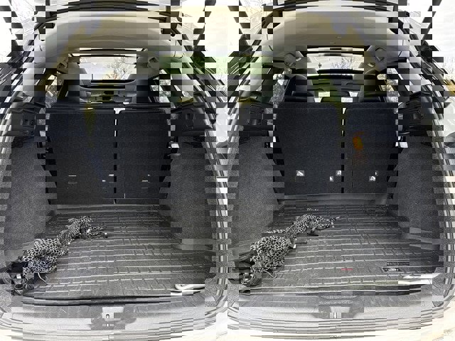 Used 2021 INFINITI QX50 Luxe image 15