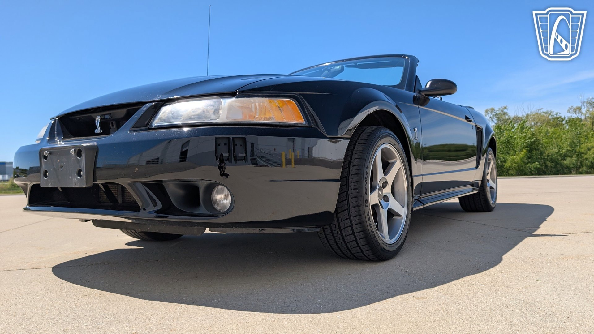Used 1999 Ford Mustang Cobra RWD image 4