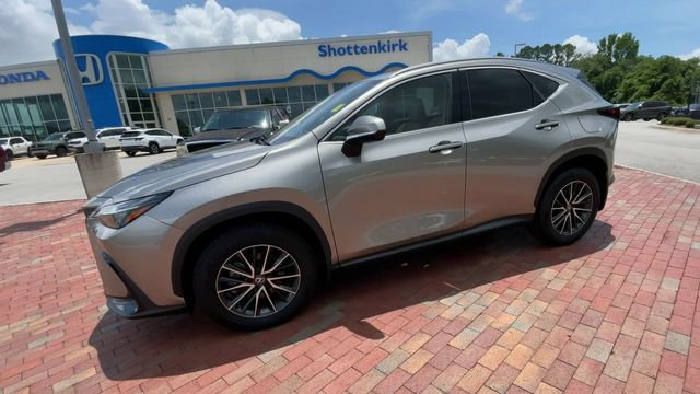 Used 2024 Lexus NX 350 AWD image 6