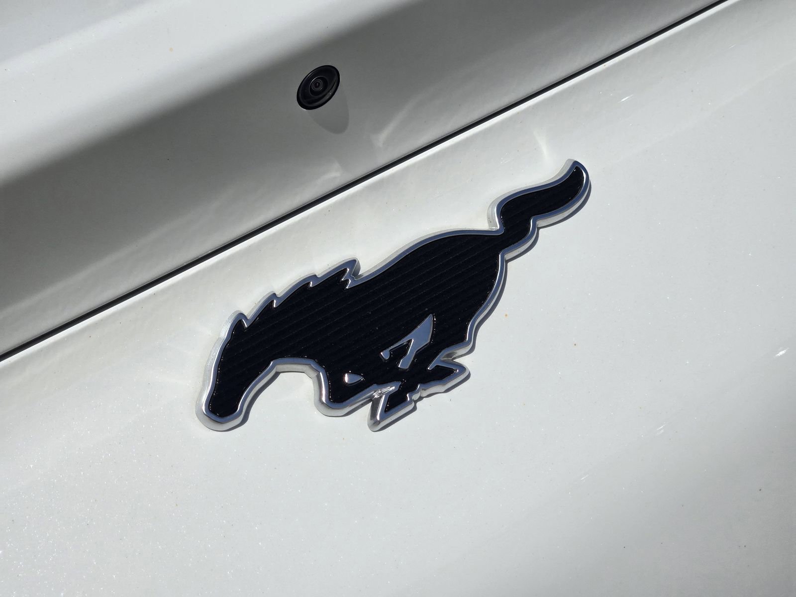 New 2024 Ford Mustang Mach-E Premium image 13