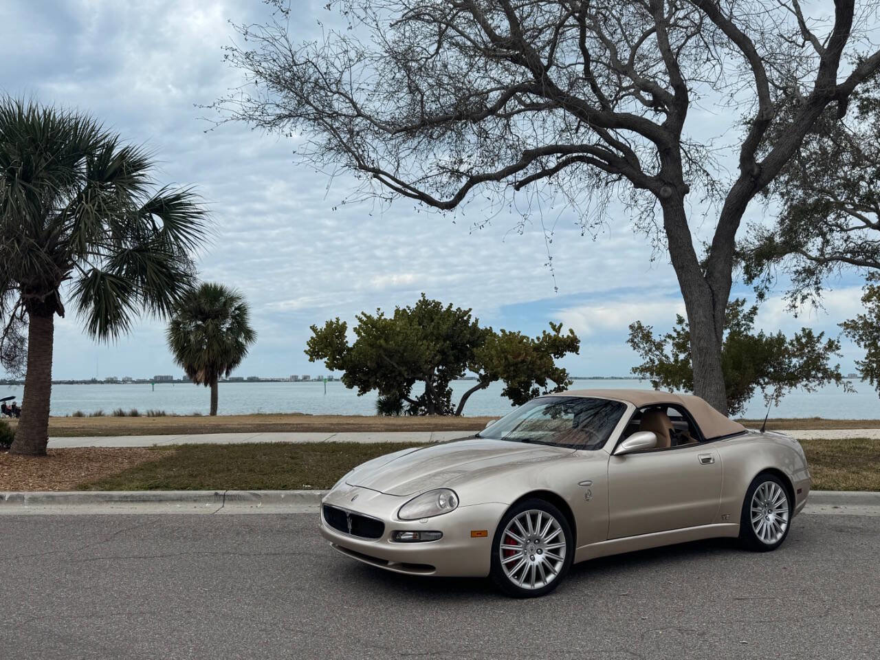 Used 2002 Maserati Spyder Cambiocorsa image 7