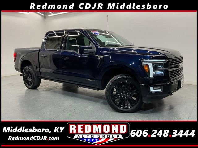 Used 2025 Ford F150 Platinum AWD/4WD image 1