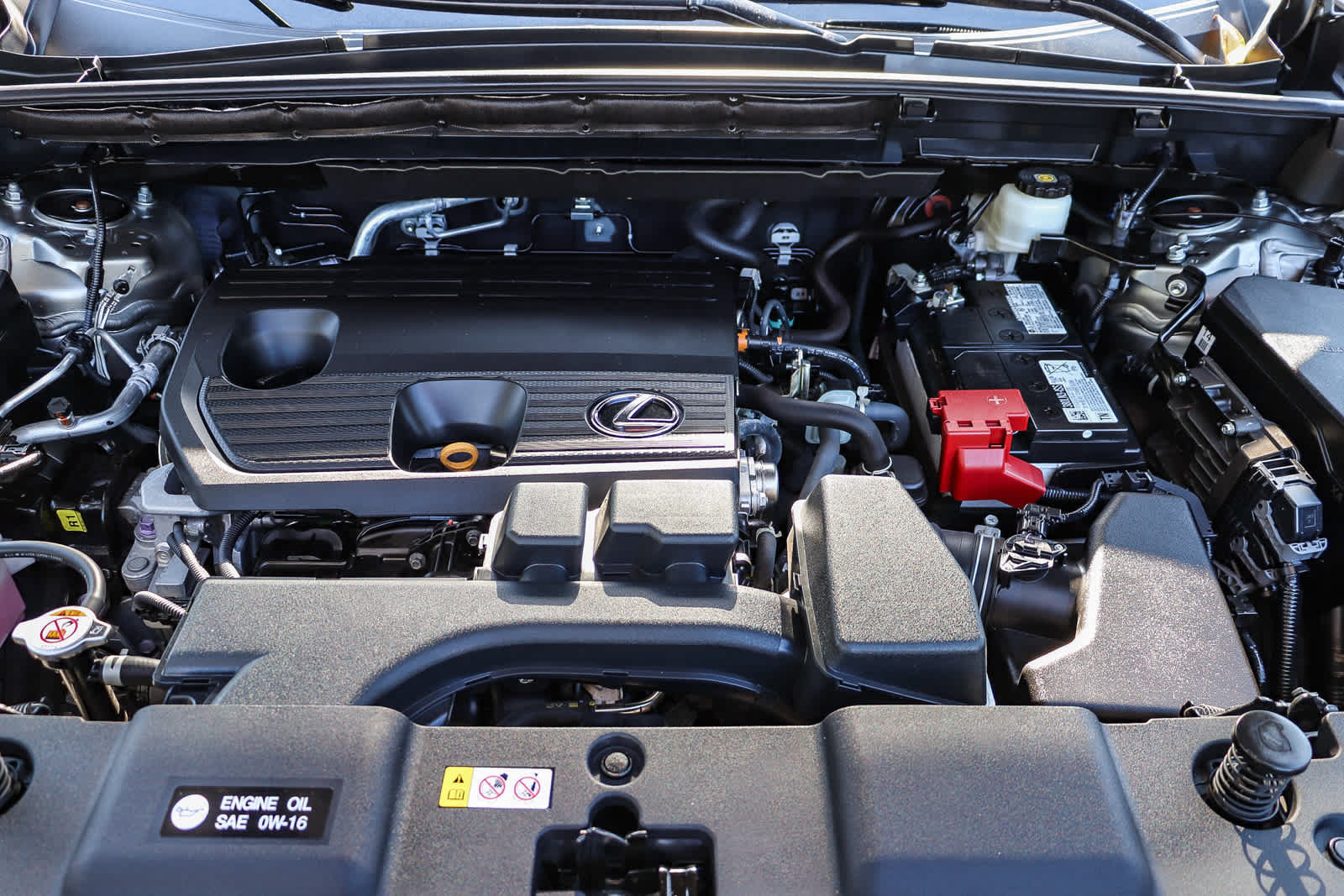 Used 2024 Lexus NX 250 FWD image 25