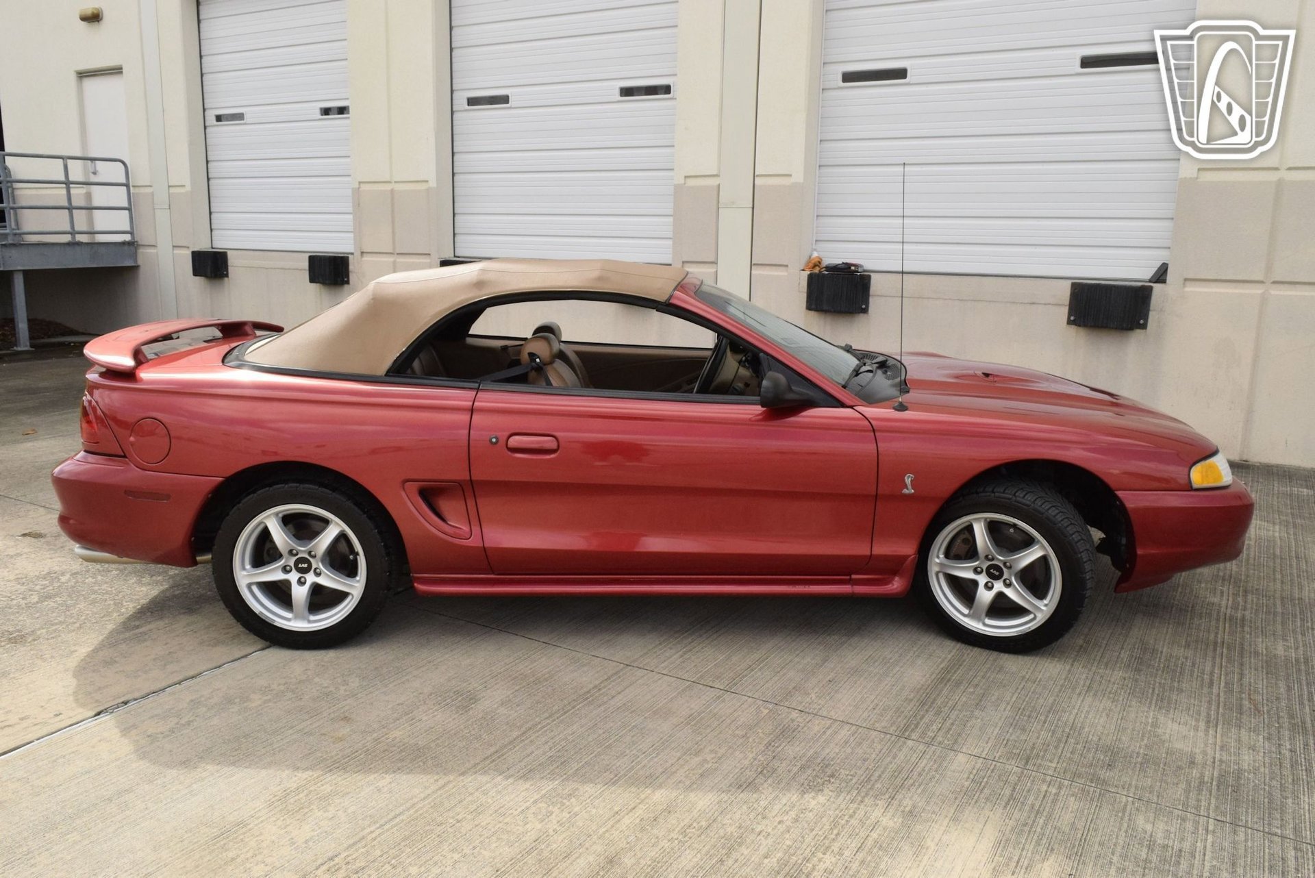 Used 1998 Ford Mustang Cobra RWD image 26
