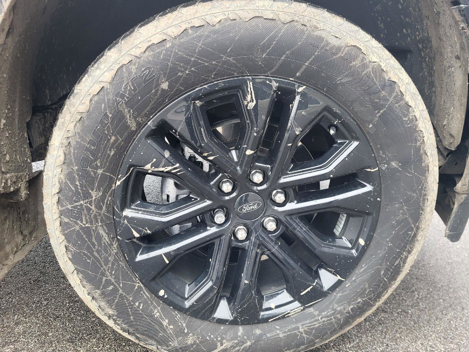 Used 2025 Ford F150 Lariat image 14