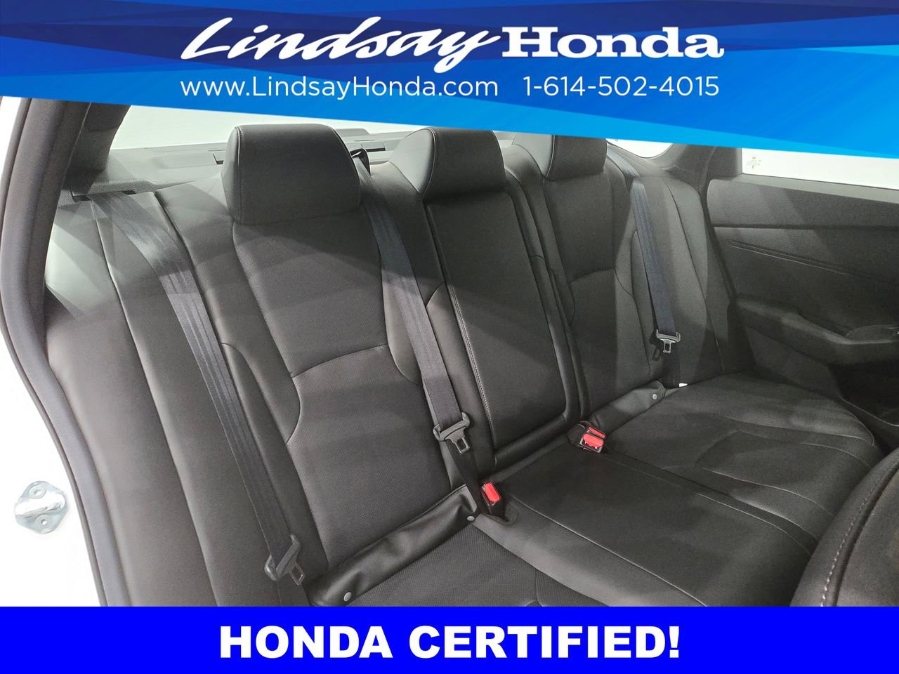 Certified 2025 Honda Accord Sport image 10