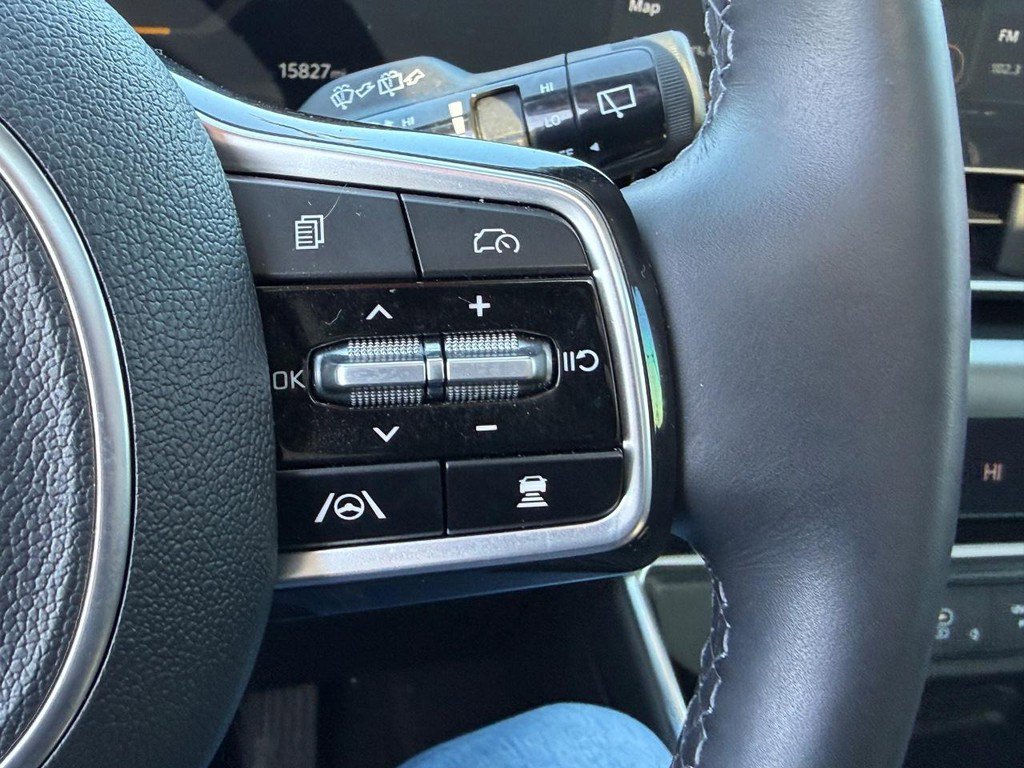 Used 2025 Kia Carnival SX Prestige image 19