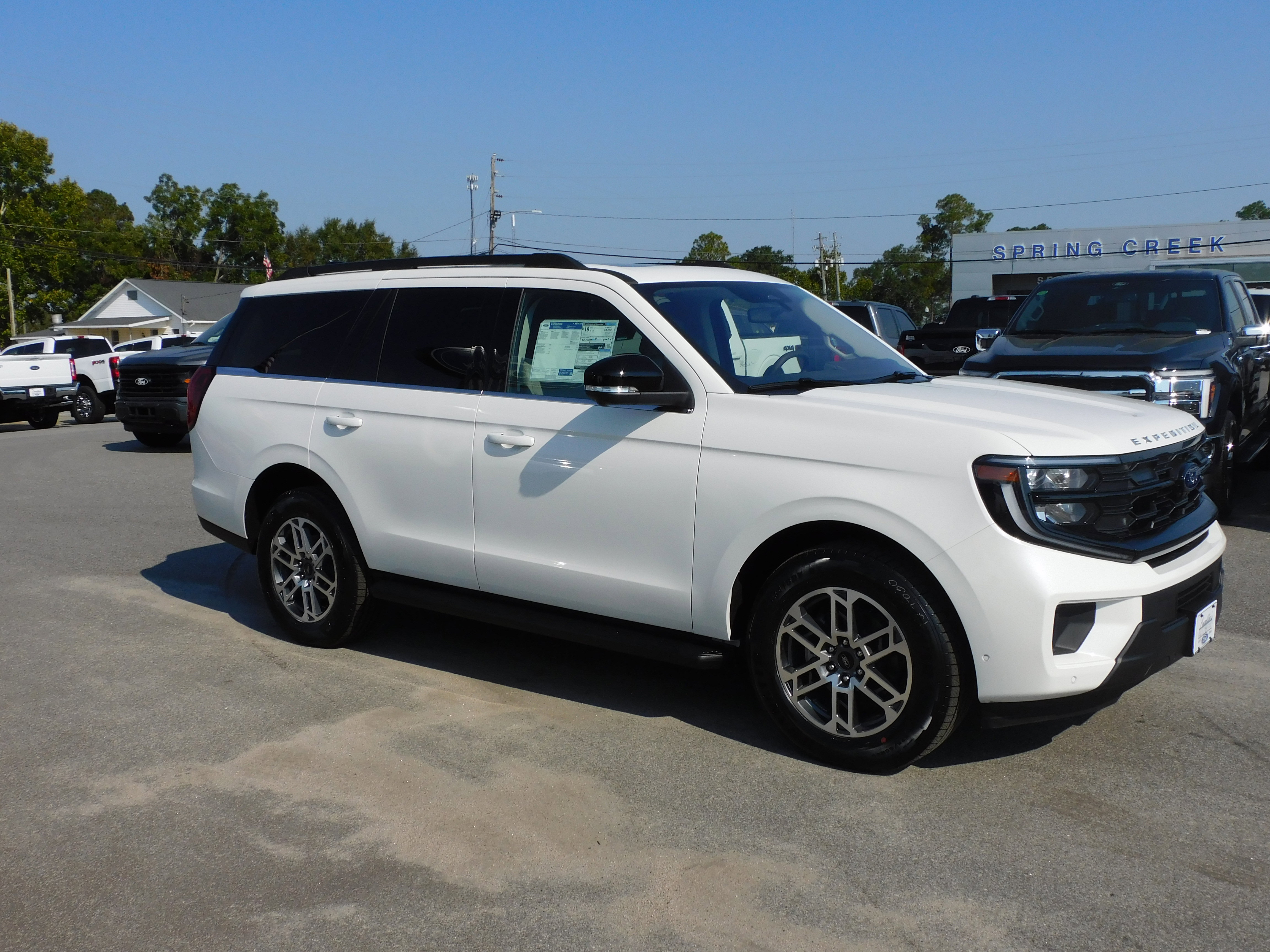 New 2025 Ford Expedition Active image 4