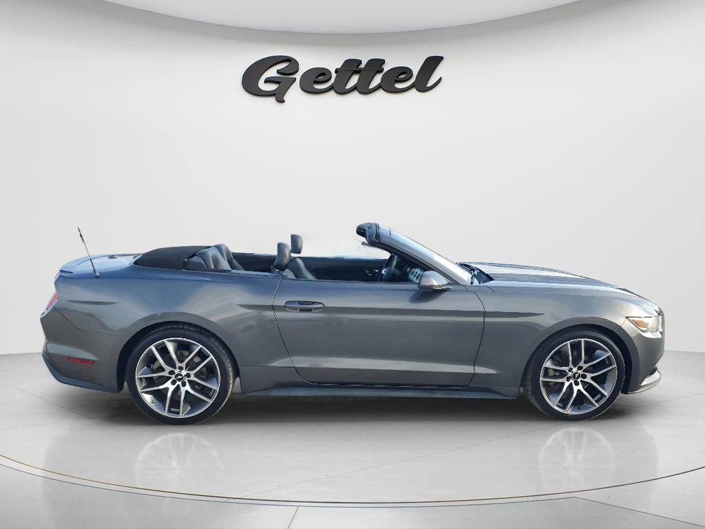 Used 2015 Ford Mustang Premium w/ Equipment Group 201A RWD image 4