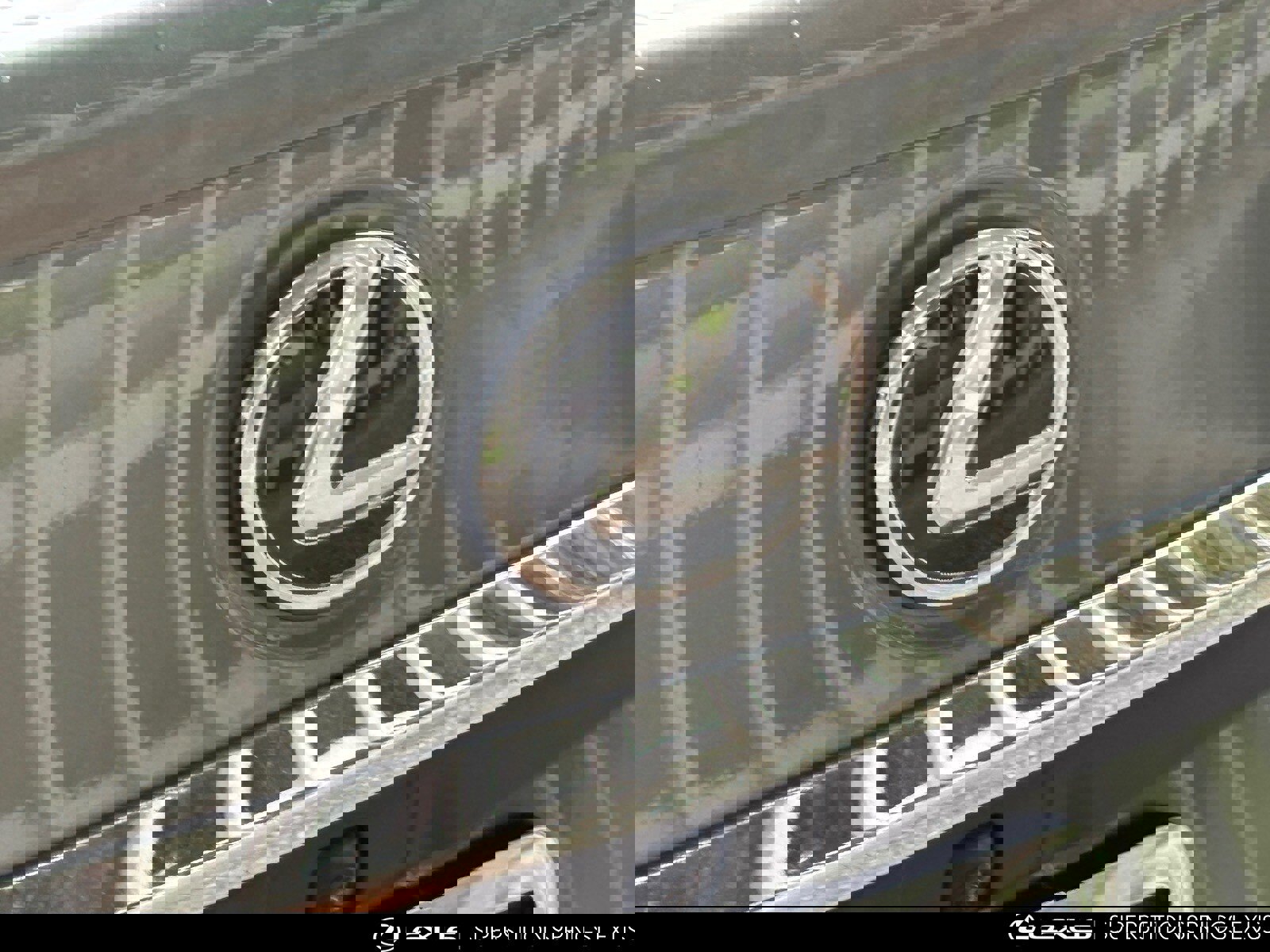 Used 2025 Lexus ES 300h w/ Premium Package image 10