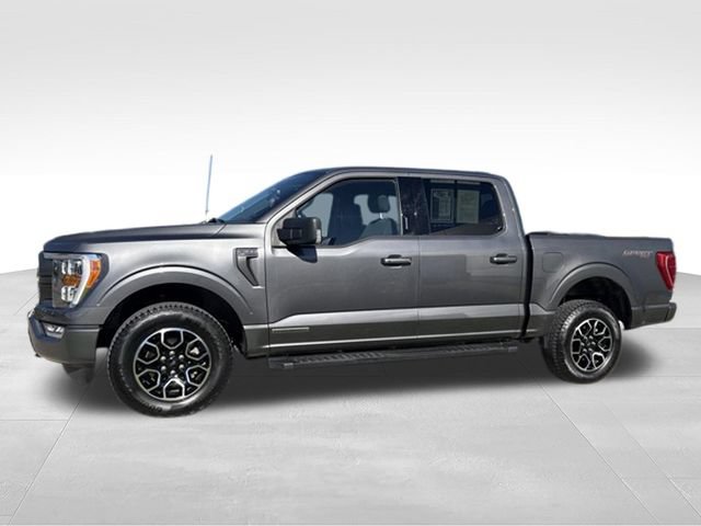 Used 2023 Ford F150 XLT w/ Equipment Group 302A High AWD/4WD image 10