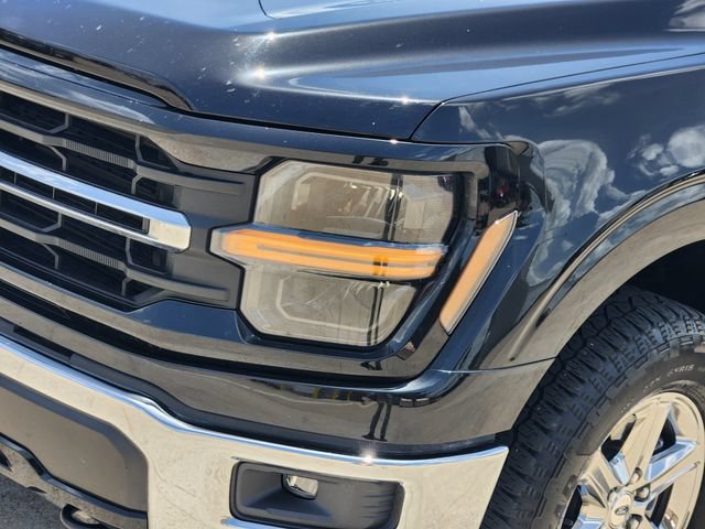 Used 2025 Ford F150 XLT w/ Equipment Group 301A Standard AWD/4WD image 9