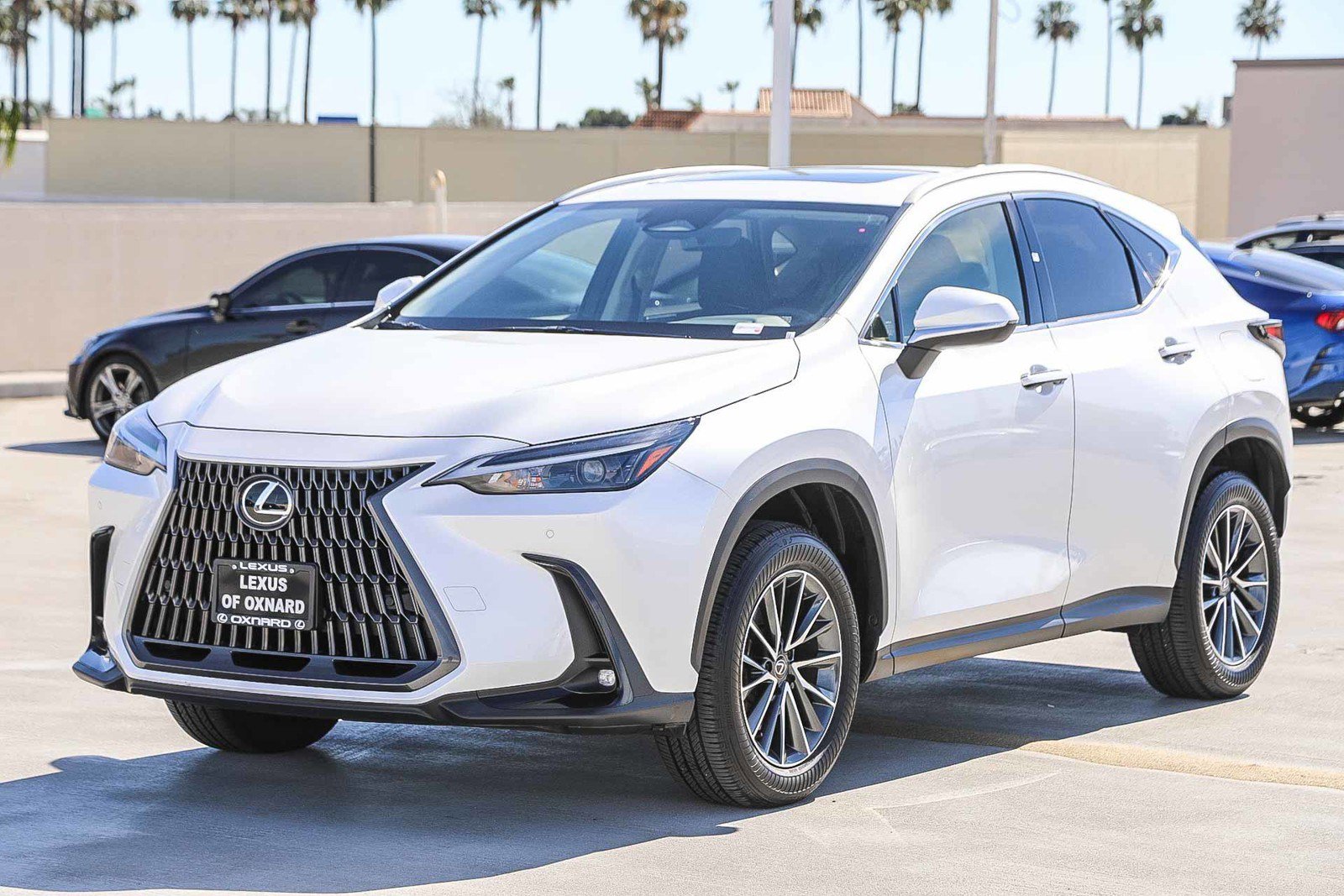 Used 2025 Lexus NX 250 FWD image 3