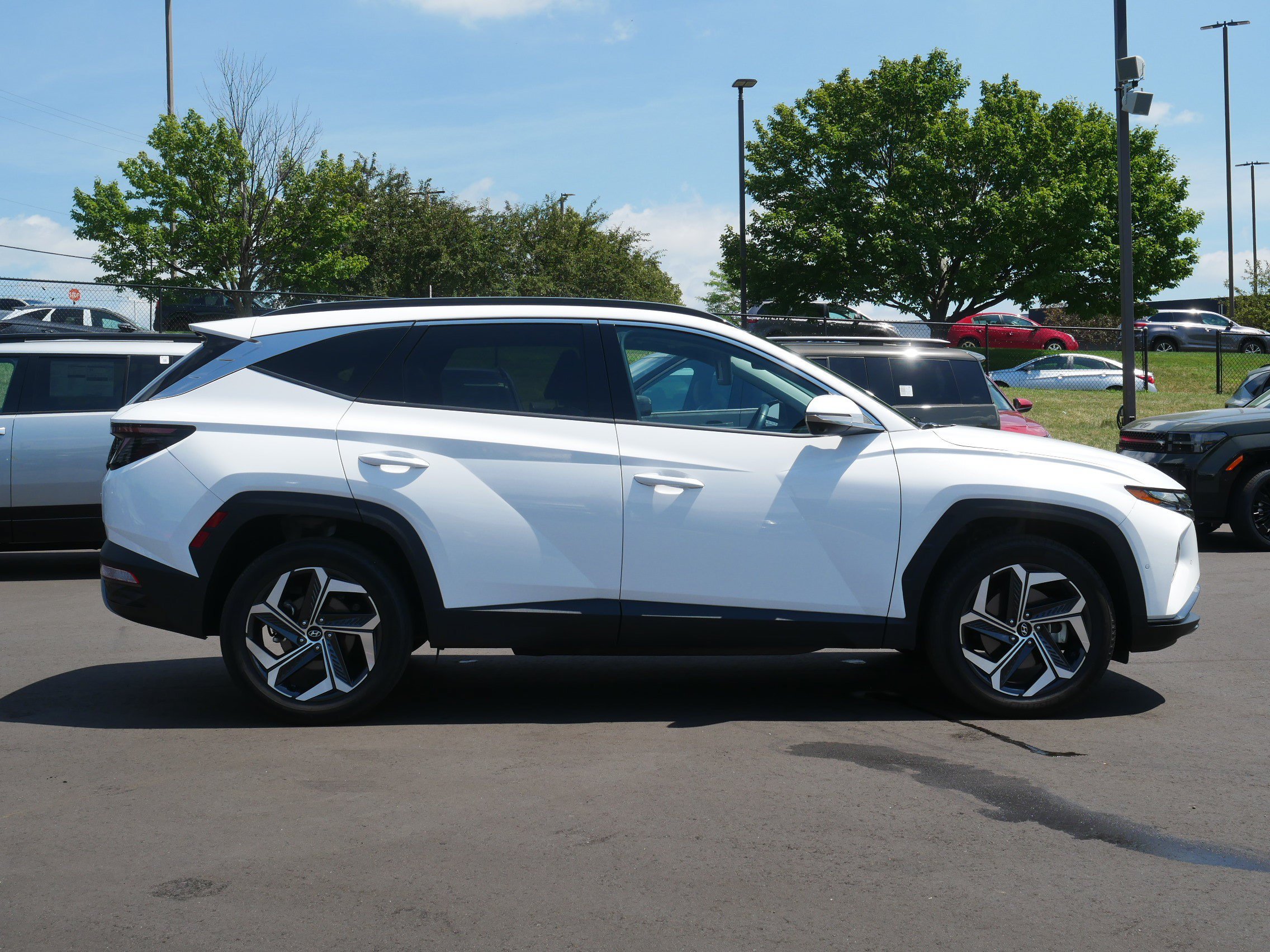 Used 2024 Hyundai Tucson Limited AWD/4WD image 5