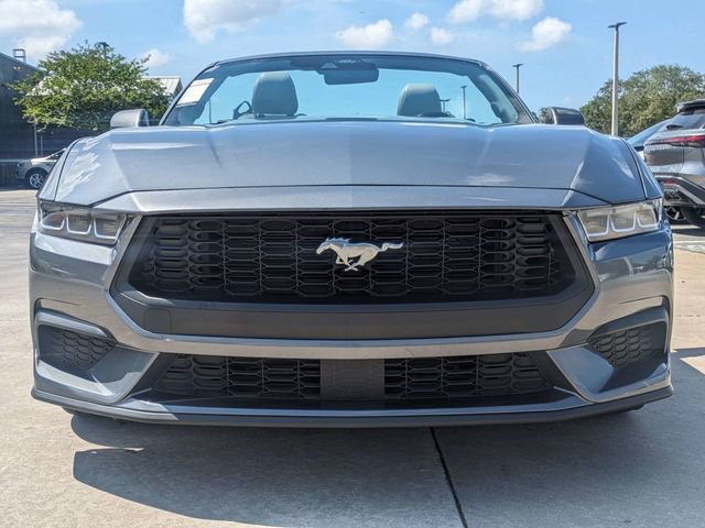 Used 2024 Ford Mustang Premium RWD image 3