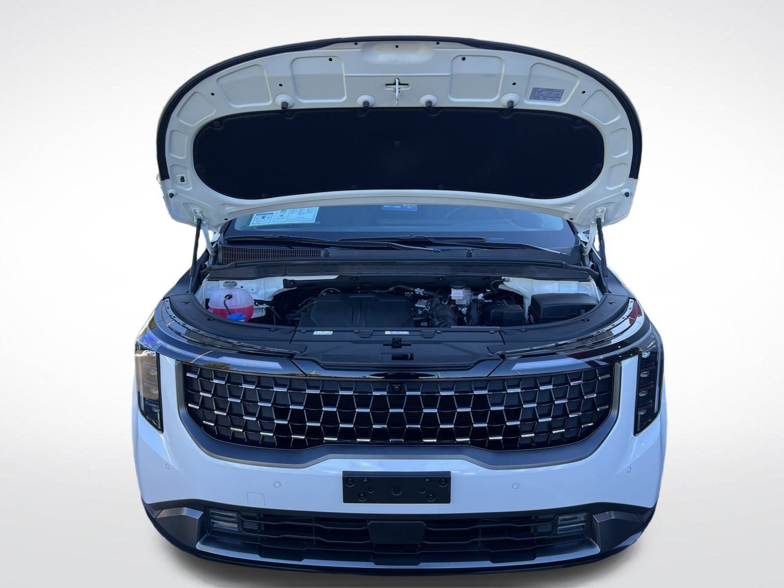 Used 2025 Kia Carnival SX Prestige image 18