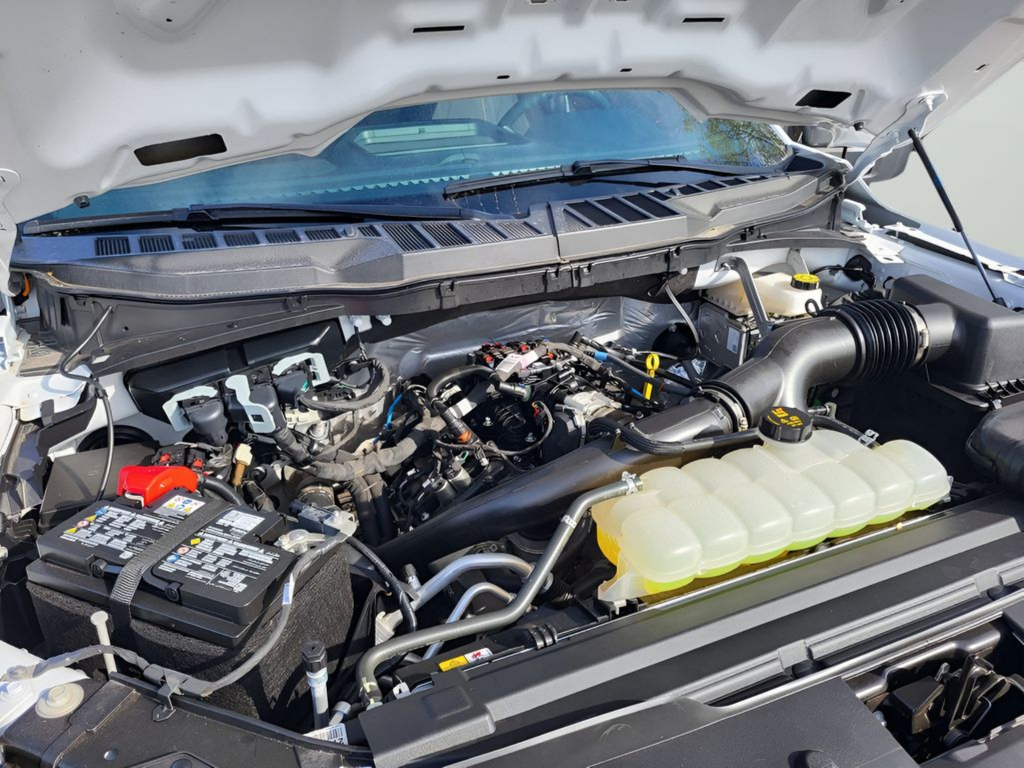 Used 2025 Ford F150 STX AWD/4WD image 8
