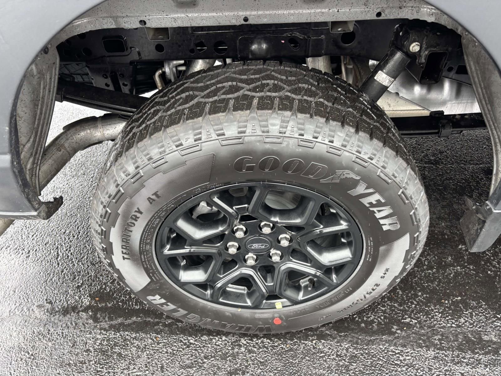 New 2025 Ford F150 XLT w/ Equipment Group 302A MID image 10