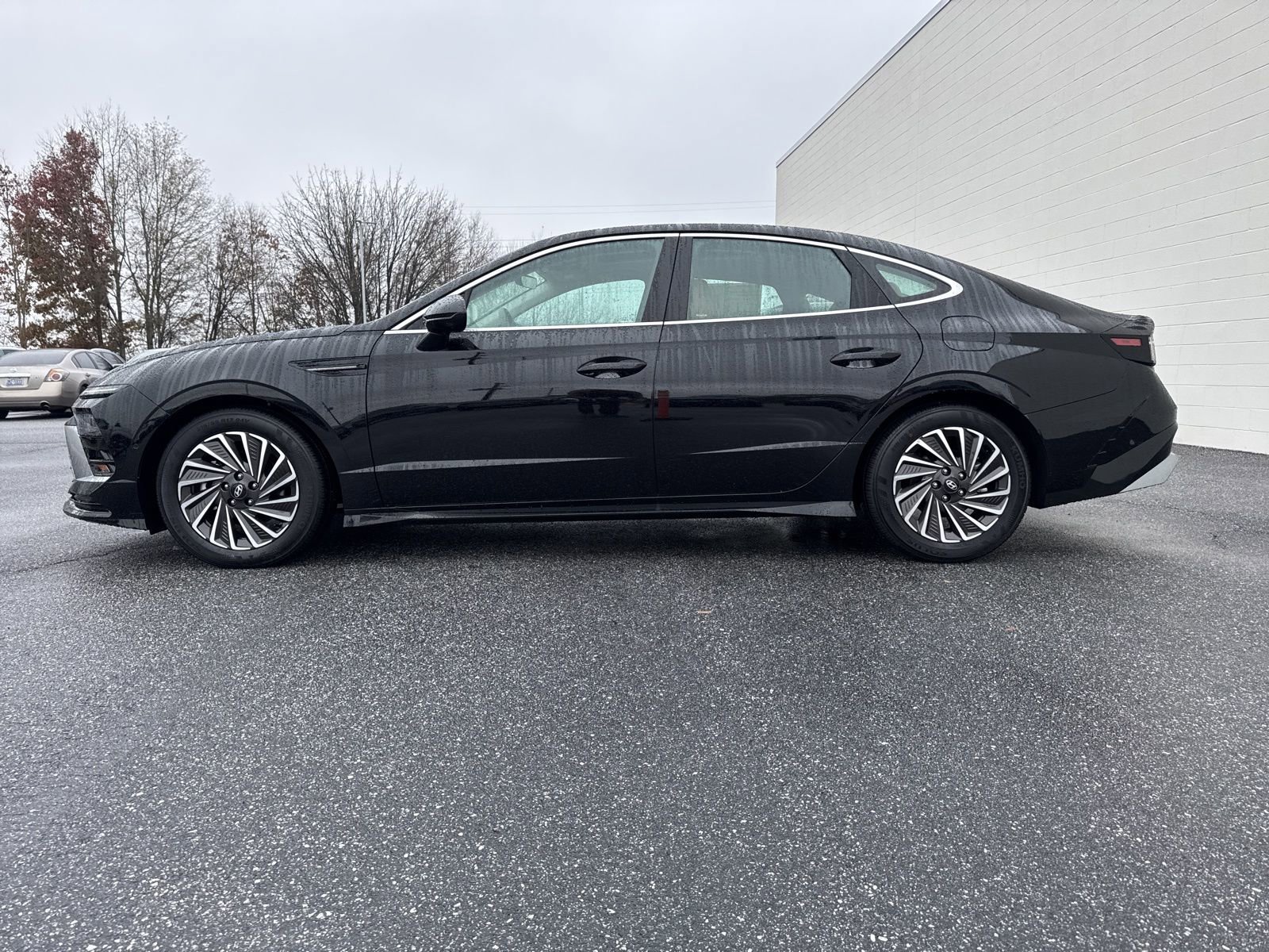 Used 2025 Hyundai Sonata Limited image 4