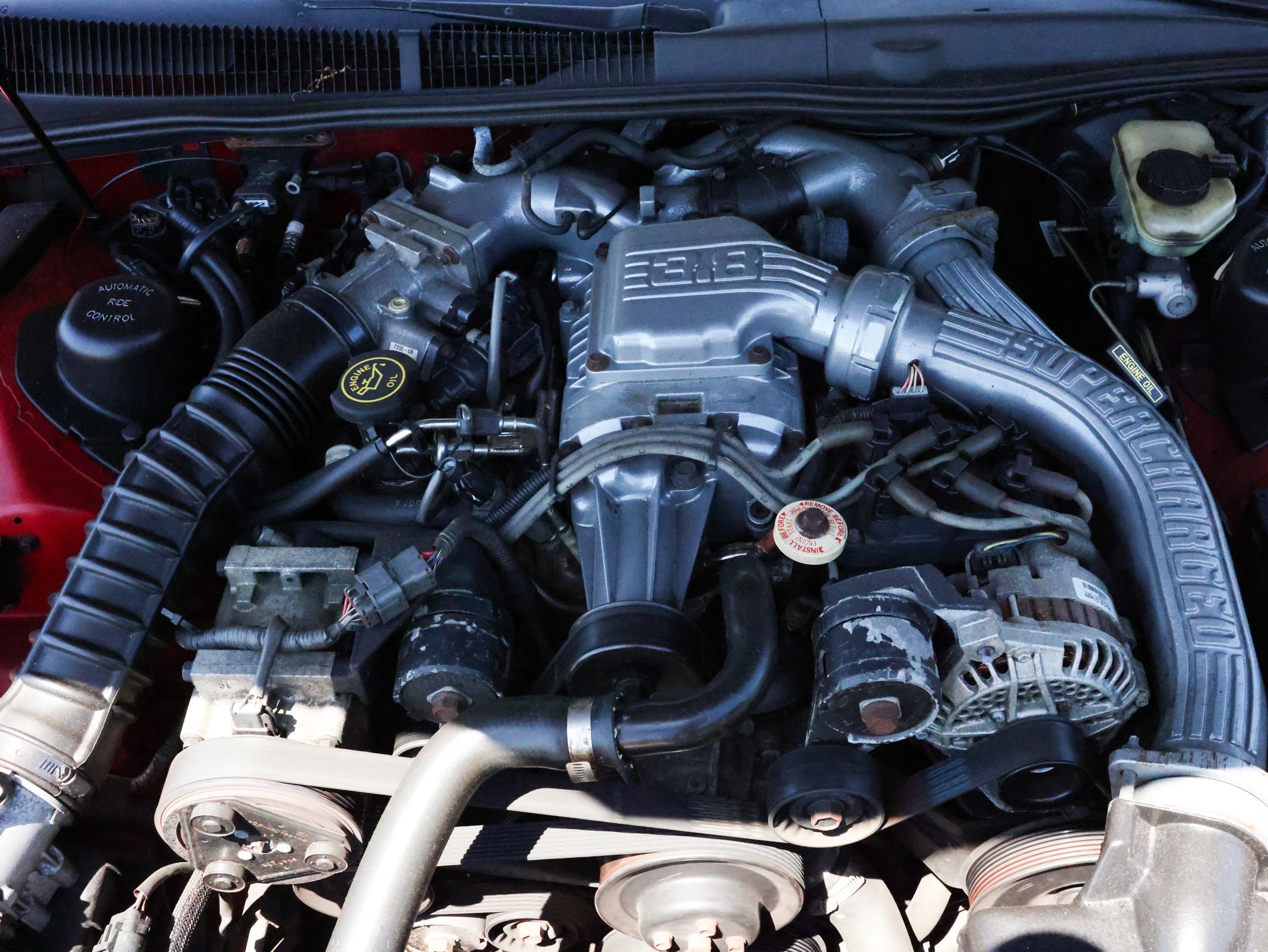 Used 1994 Ford Thunderbird Super RWD image 4