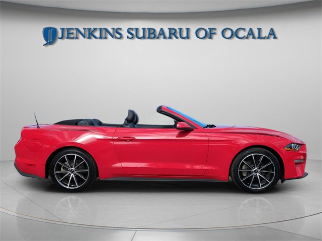 Used 2019 Ford Mustang Premium w/ Equipment Group 201A image 9