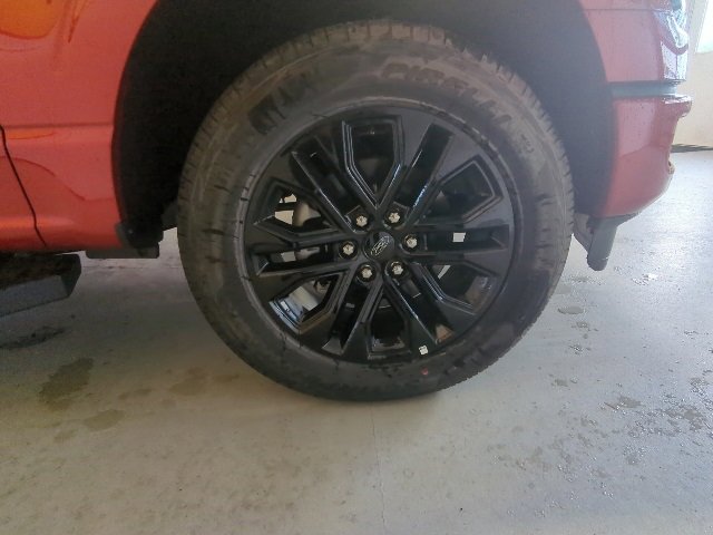 New 2025 Ford F150 XLT w/ Equipment Group 303A High image 12