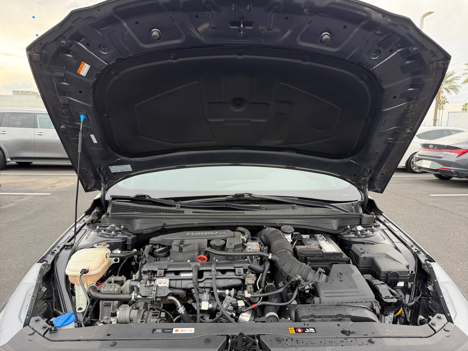 Certified 2021 Hyundai Elantra N Line image 22