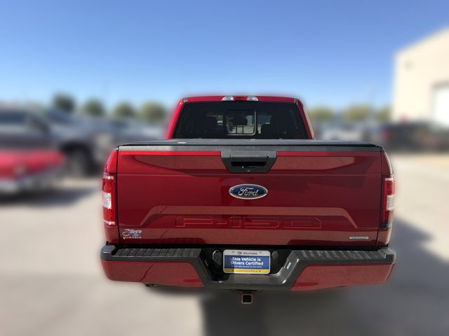 Used 2019 Ford F150 XLT w/ Equipment Group 302A Luxury AWD/4WD image 8