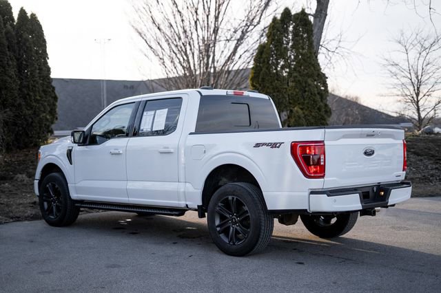 Used 2023 Ford F150 XLT w/ Equipment Group 302A High AWD/4WD image 8