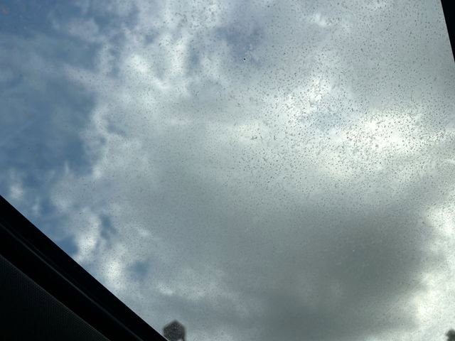 Used 2023 Chevrolet Silverado 1500 LT Trail Boss w/ Convenience Package II image 26