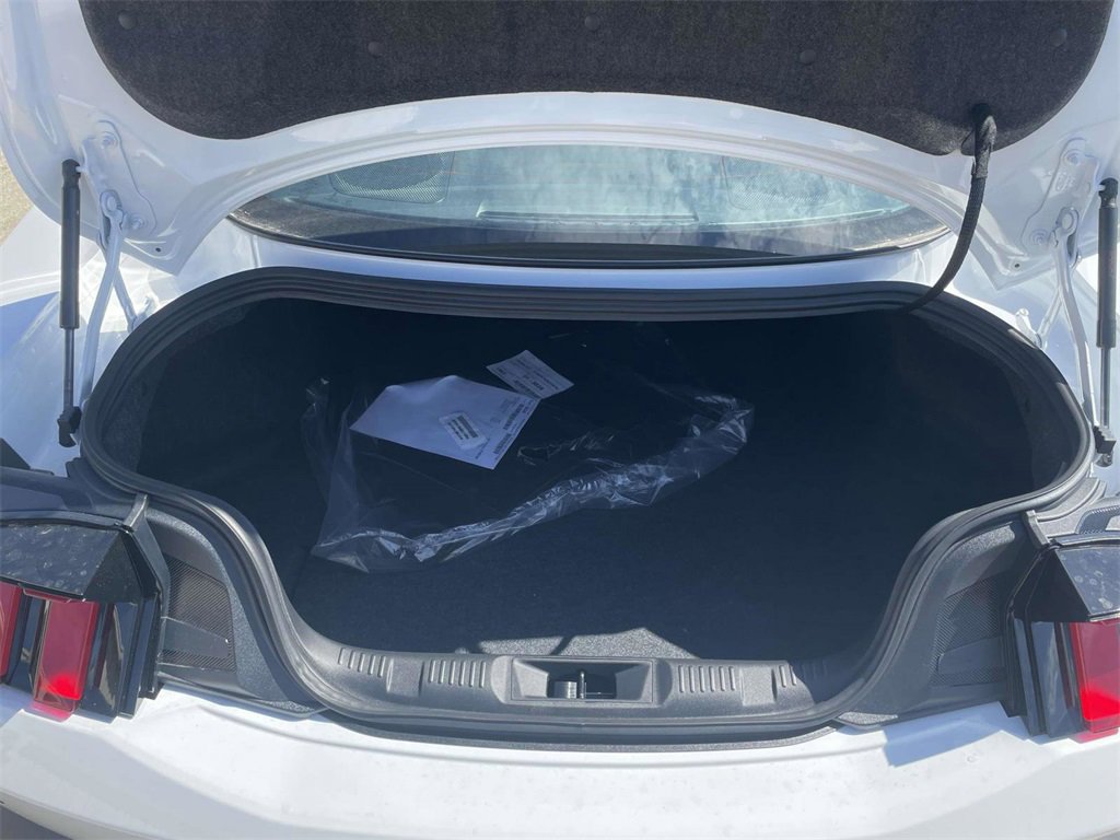 New 2025 Ford Mustang Coupe image 10
