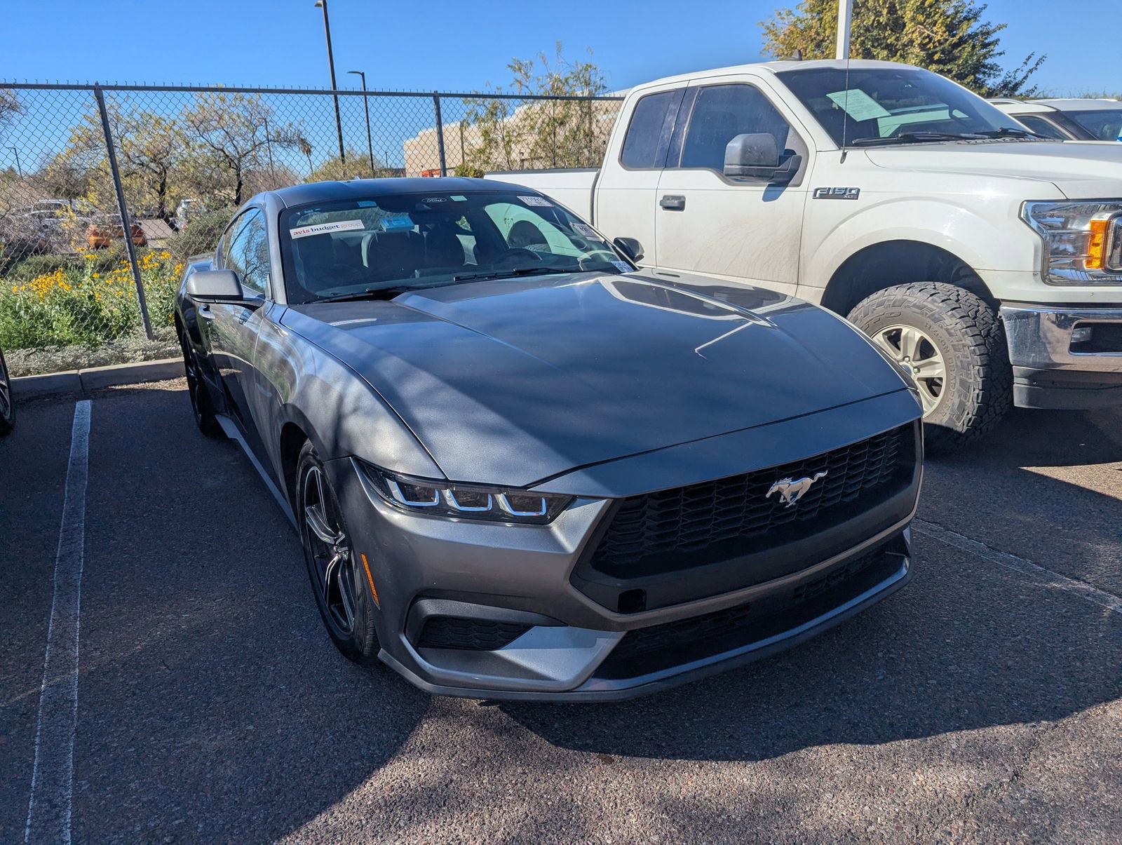 Certified 2024 Ford Mustang Coupe image 3
