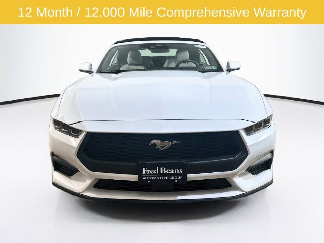 Used 2024 Ford Mustang Premium RWD image 2