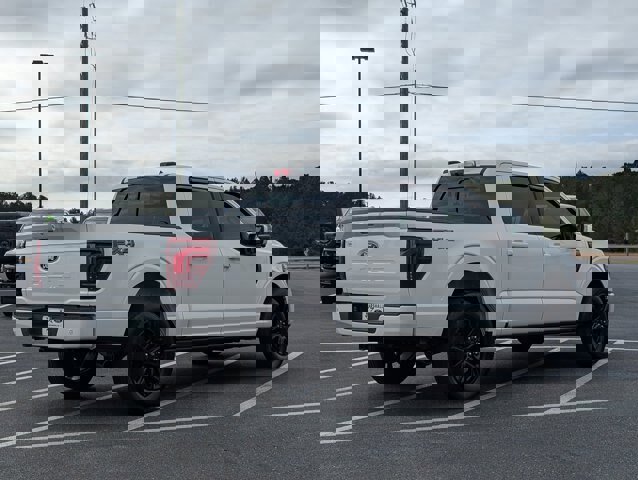 Certified 2024 Ford F150 Platinum w/ FX4 Off-Road Package image 5