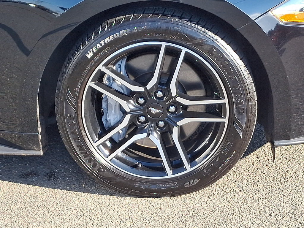 Certified 2019 Ford Mustang GT RWD image 8