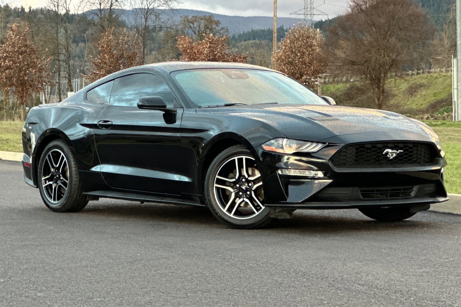 Used 2021 Ford Mustang Premium image 1