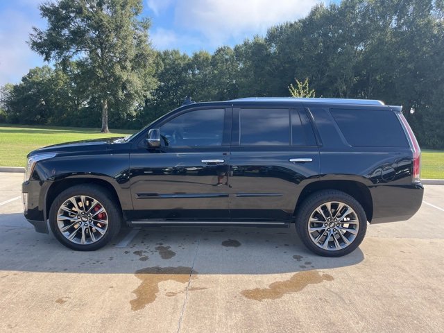 Used 2020 Cadillac Escalade Platinum image 3