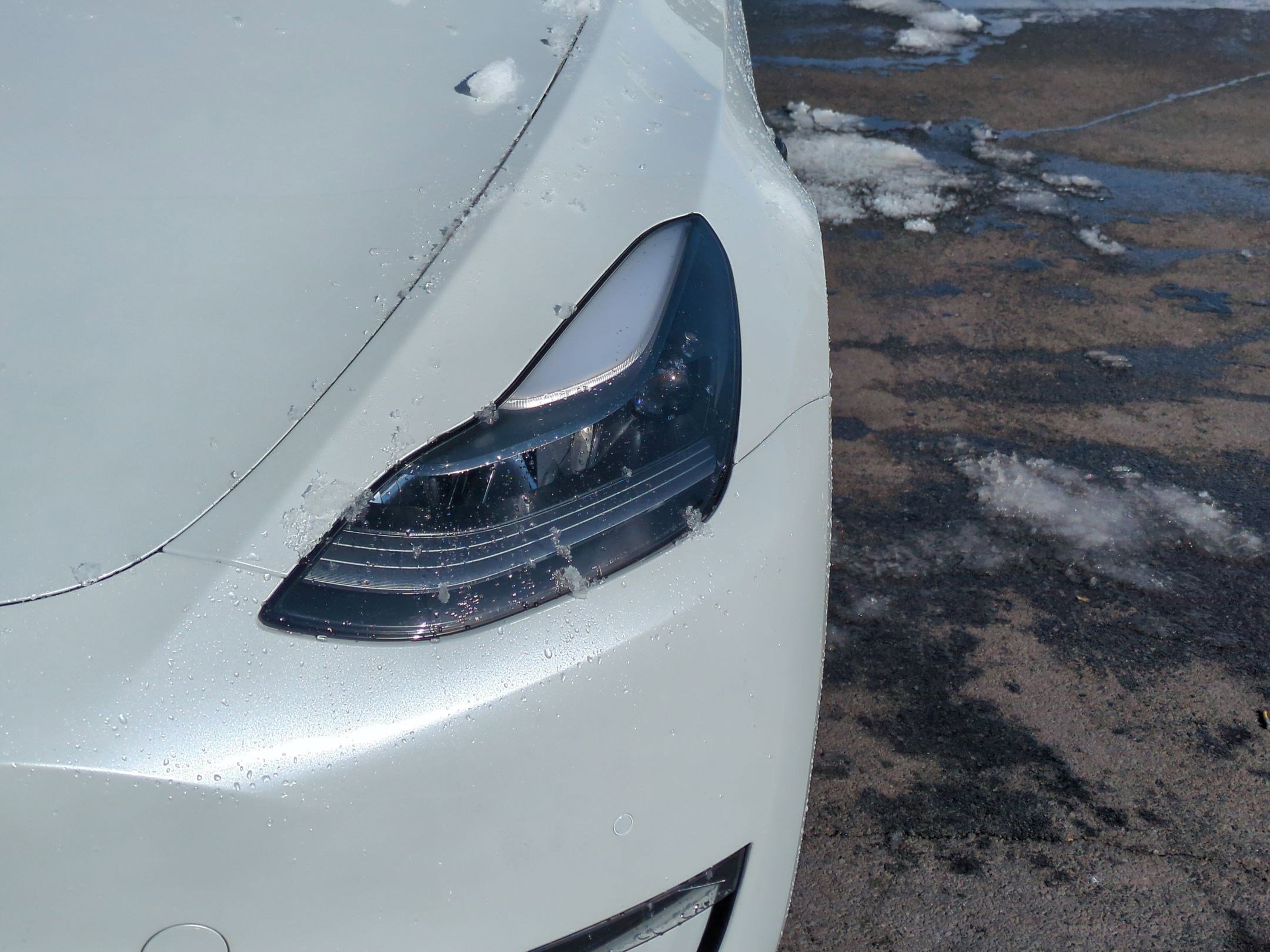 Used 2021 Tesla Model Y Performance image 13
